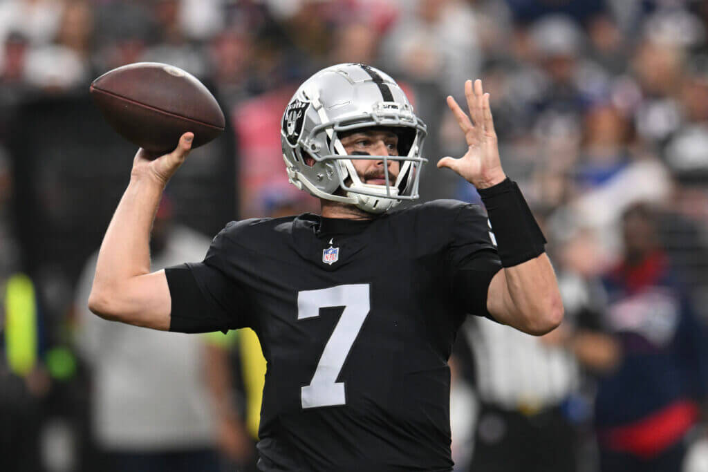 Brian Hoyer, Raiders