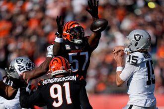 Germaine Pratt, Raiders